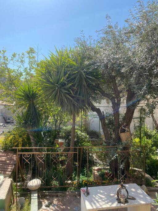 Central House With Beautiful Garden Amman Exteriör bild