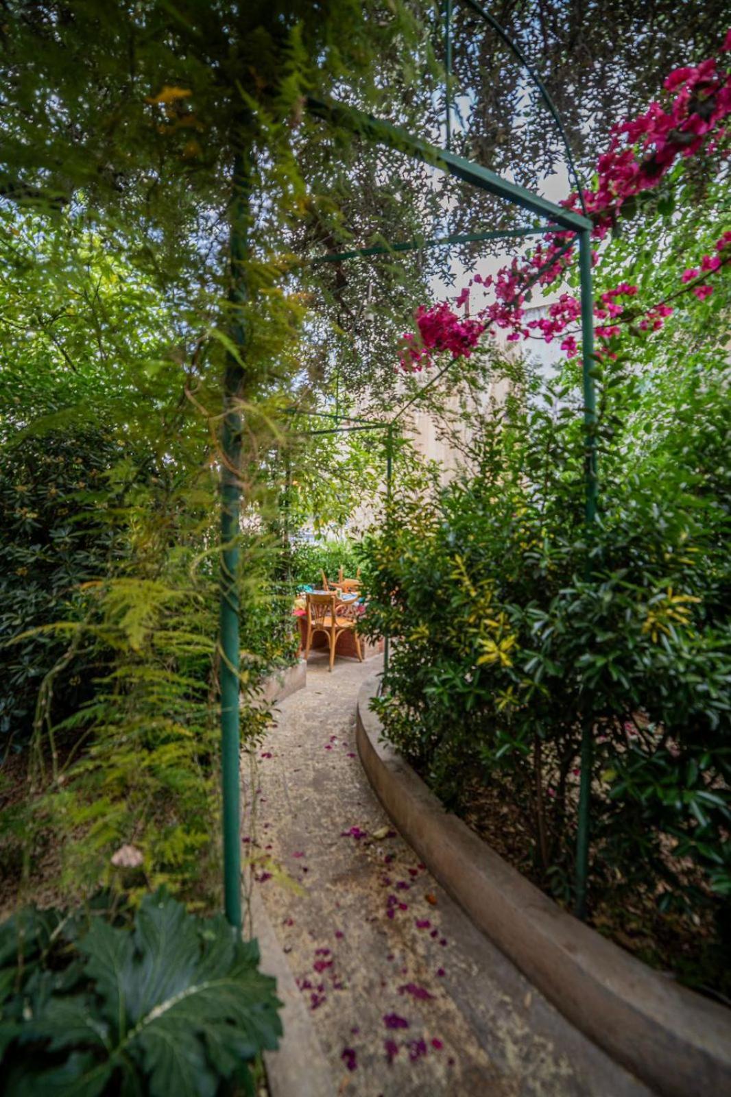 Central House With Beautiful Garden Amman Exteriör bild