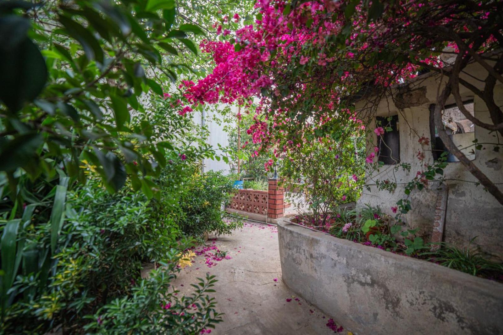 Central House With Beautiful Garden Amman Exteriör bild